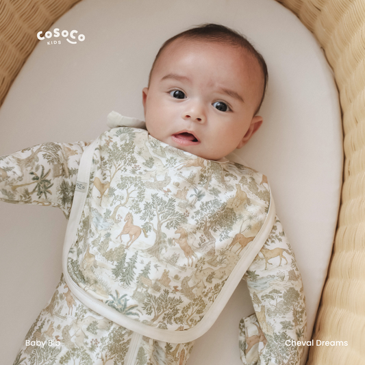 Baby Bib in Cheval Dreams