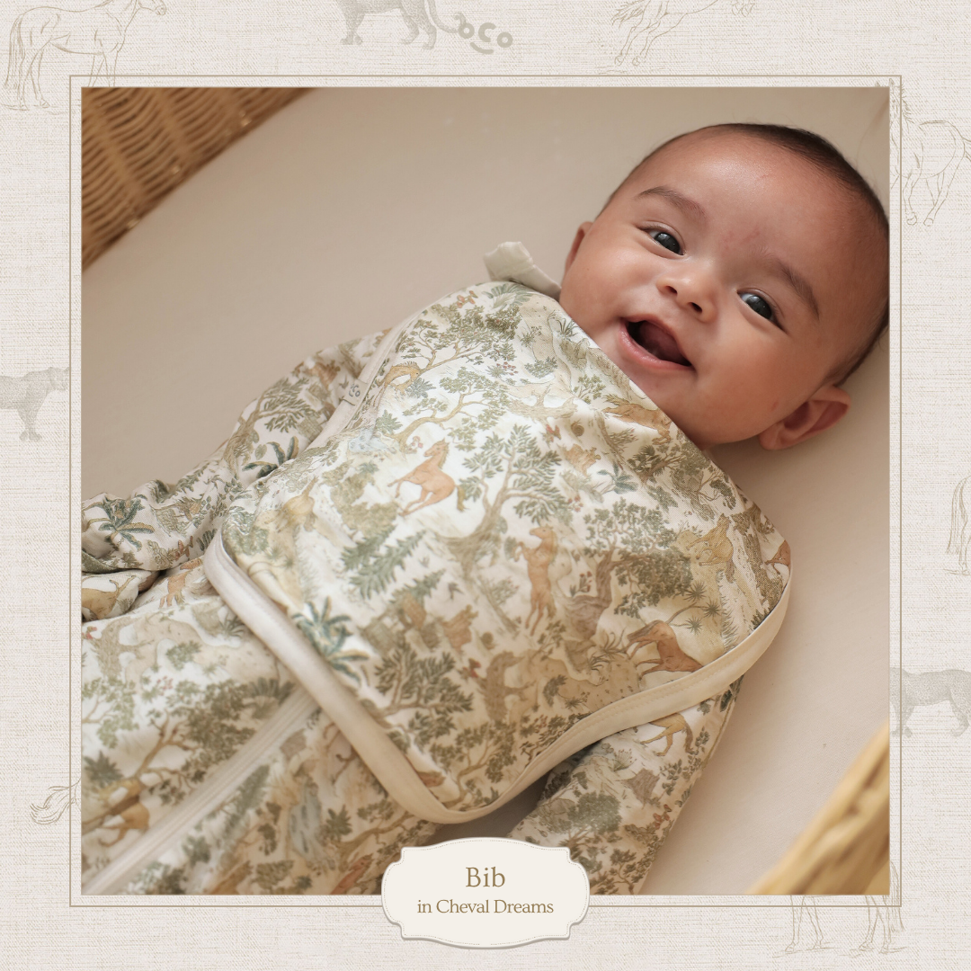 Baby Bib in Cheval Dreams