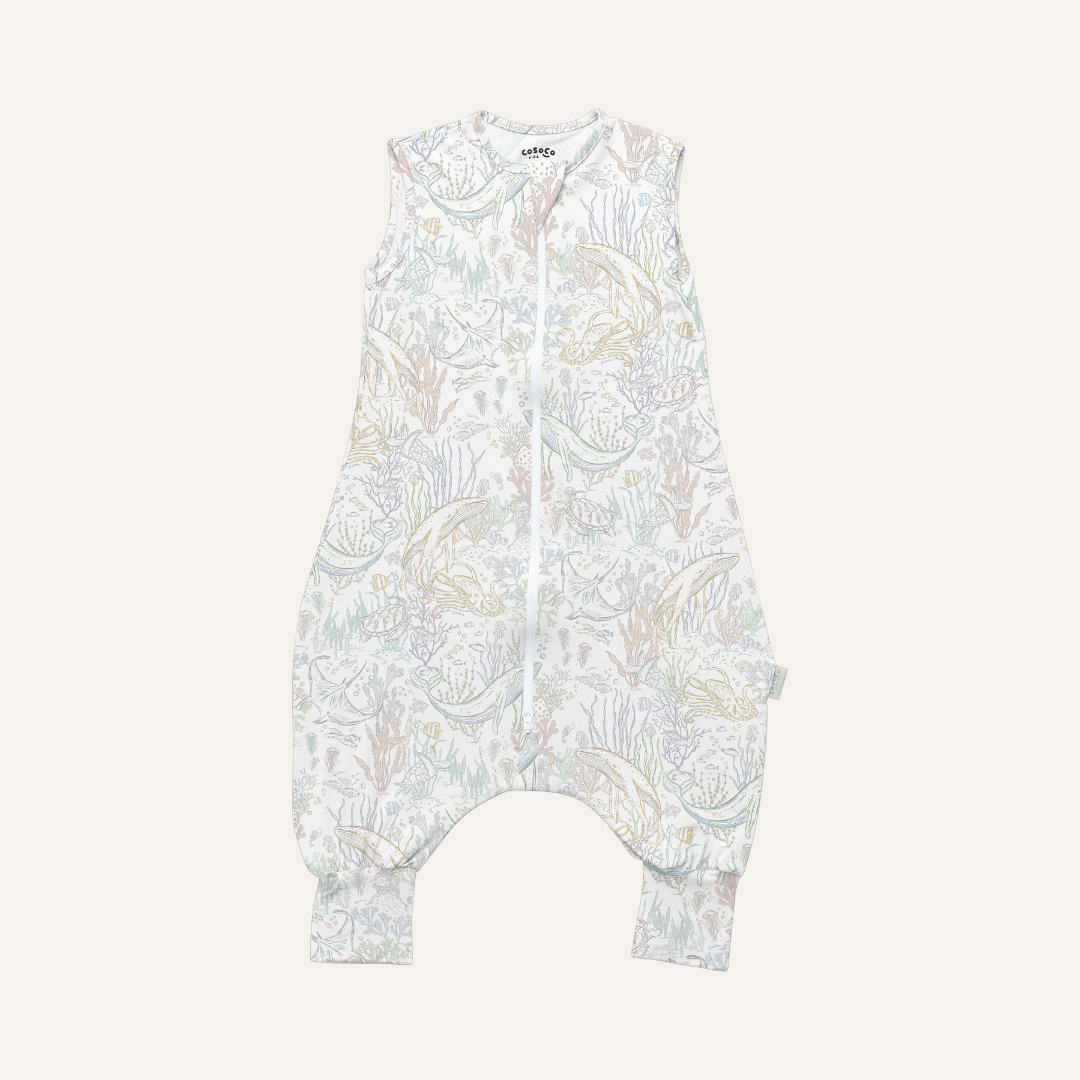 Double Layer Sleepwalker in Rainbow Reef