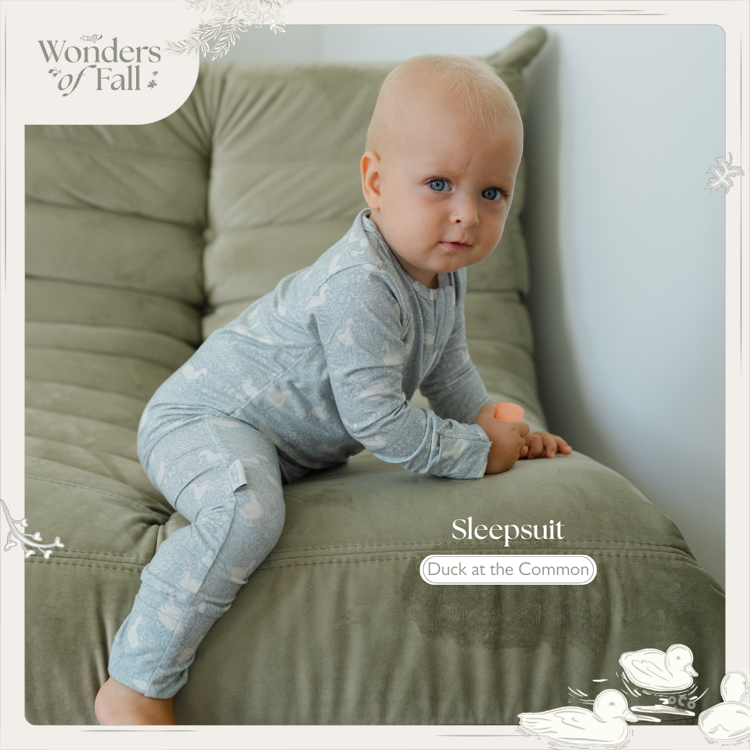 Sleepsuit in Ducks in the Common