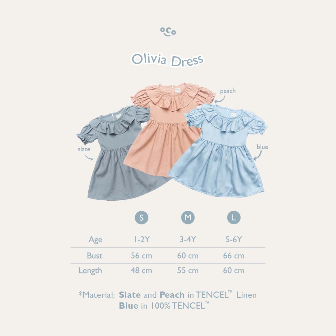 Olivia Dress in Slate