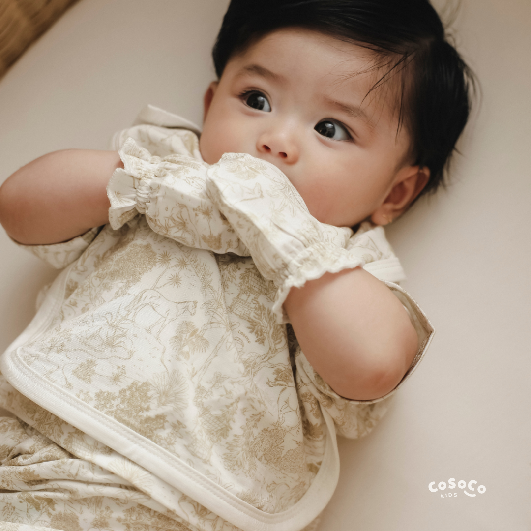 Baby Mittens & Booties in Equestrian Toile