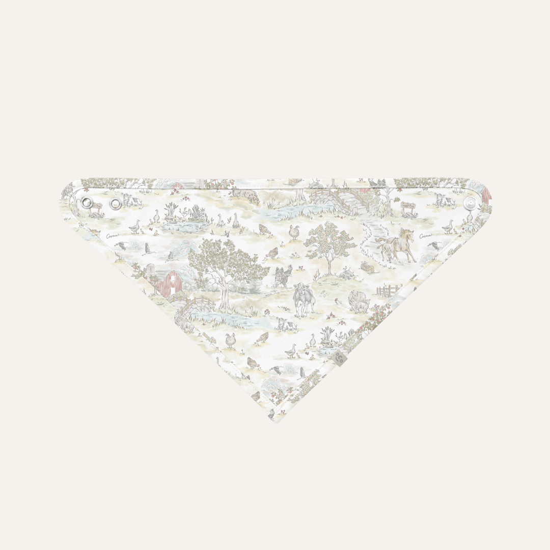 Triangle Bib in Farm Days
