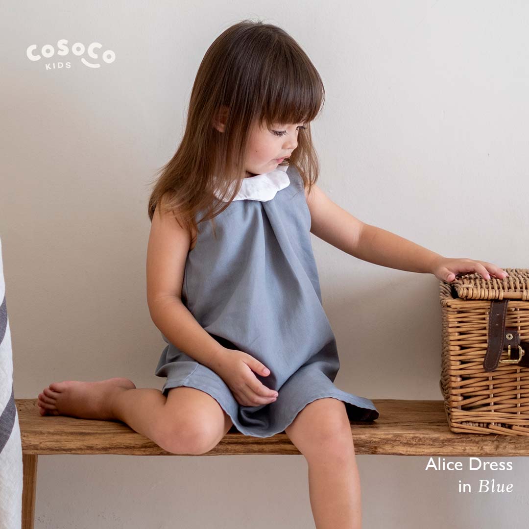 Alice Dress in Slate